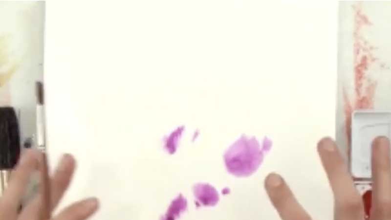 TED ED